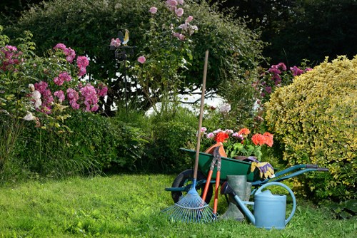 Professional pruning by Heston tree specialists