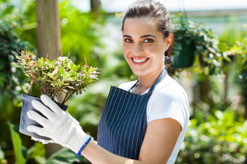 Selective pruning to improve light and airflow in Heston
