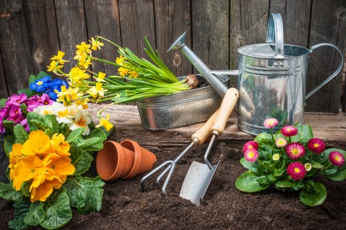 Commercial stump grinding service for outdoor premises in Heston