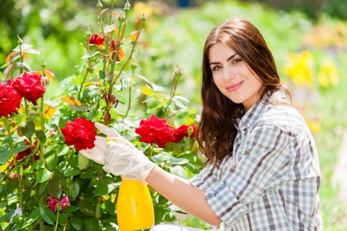 Preparing a Heston garden after stump grinding for replanting or landscaping