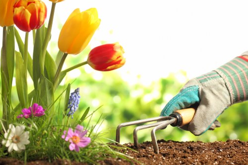 Bank transfer and card payment security for tree surgeons