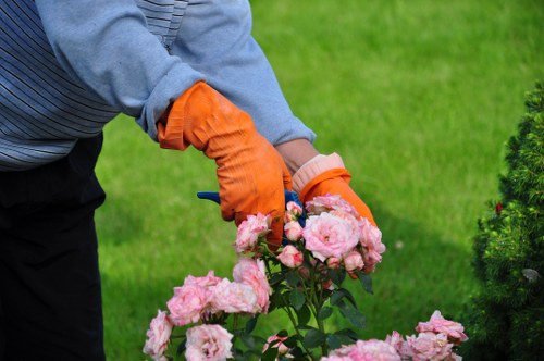 Annual review of modern slavery controls for Tree Surgeons Heston
