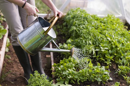 Local transfer station handling arboricultural waste